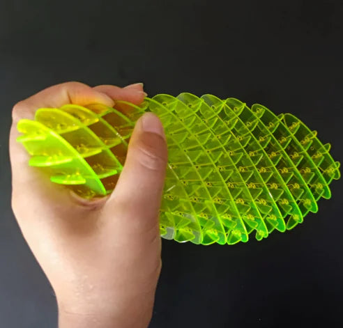 Warp Worm